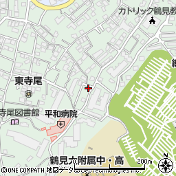 神奈川県横浜市鶴見区東寺尾中台22-25周辺の地図