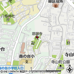 慈眼寺周辺の地図