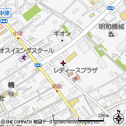神奈川県愛甲郡愛川町中津298-3周辺の地図