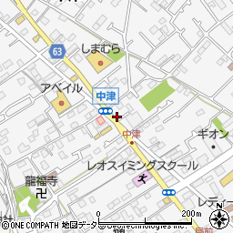 神奈川県愛甲郡愛川町中津317-11周辺の地図