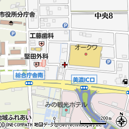 岐阜県美濃市中央10丁目118周辺の地図
