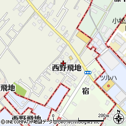 千葉県東金市西野飛地1667周辺の地図