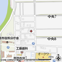 岐阜県美濃市中央10丁目199周辺の地図