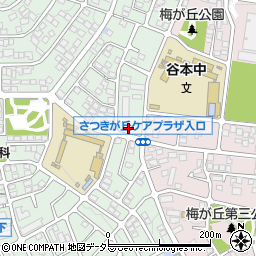 神奈川県横浜市青葉区つつじが丘28-145周辺の地図