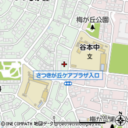 神奈川県横浜市青葉区つつじが丘28-228周辺の地図