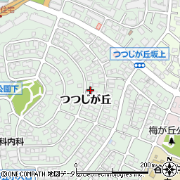 神奈川県横浜市青葉区つつじが丘周辺の地図