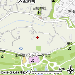 〒266-0014 千葉県千葉市緑区大金沢町の地図