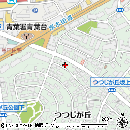 神奈川県横浜市青葉区つつじが丘10-24周辺の地図