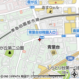 チャンプカメラ青葉台店周辺の地図