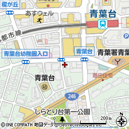 臨海セミナー　大学受験科青葉台校周辺の地図