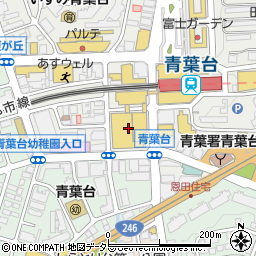 青葉台東急スクエア周辺の地図