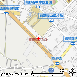 神奈川県相模原市南区鵜野森1丁目13周辺の地図