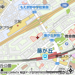 昭和大学藤が丘リハビリテーション病院周辺の地図