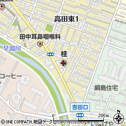 桂幼稚園周辺の地図
