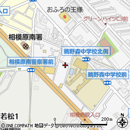 神奈川県相模原市南区鵜野森1丁目6-11周辺の地図