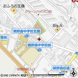 神奈川県相模原市南区鵜野森1丁目21-12周辺の地図