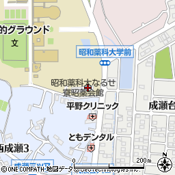 昭和薬科大なるせ寮昭薬会館周辺の地図