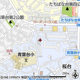 東急ドエル桜台コートビレジ３号棟周辺の地図