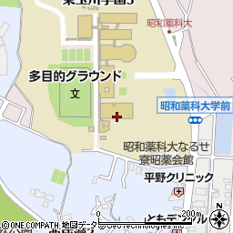 昭和薬科大学　体育館周辺の地図