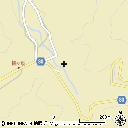 岐阜県美濃市樋ケ洞3812周辺の地図