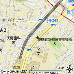 綱島街道周辺の地図