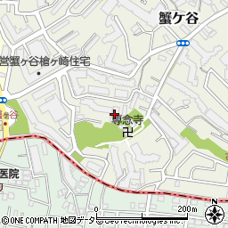 リエス蟹ヶ谷周辺の地図