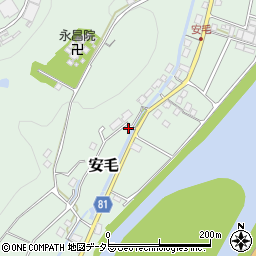 岐阜県美濃市安毛160周辺の地図