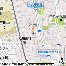神奈川県川崎市中原区中丸子553周辺の地図