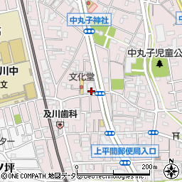 神奈川県川崎市中原区中丸子530周辺の地図