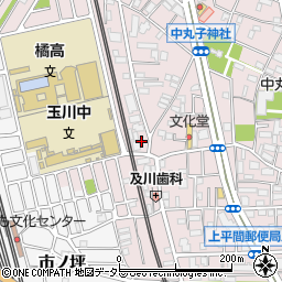 神奈川県川崎市中原区中丸子316周辺の地図