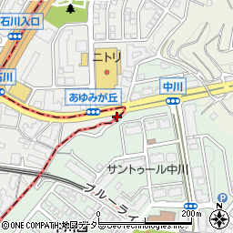 神奈川県横浜市青葉区荏田町62周辺の地図