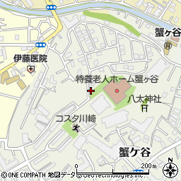 神奈川県川崎市高津区蟹ケ谷264周辺の地図