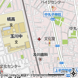 神奈川県川崎市中原区中丸子319周辺の地図