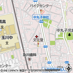 神奈川県川崎市中原区中丸子521周辺の地図