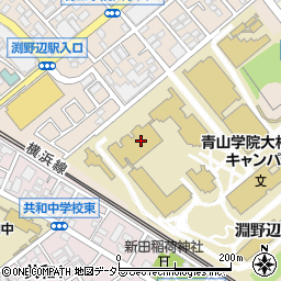 青山学院大学周辺の地図