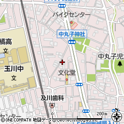 神奈川県川崎市中原区中丸子520-2周辺の地図