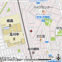 神奈川県川崎市中原区中丸子325周辺の地図