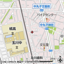 神奈川県川崎市中原区中丸子334周辺の地図