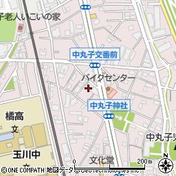神奈川県川崎市中原区中丸子353周辺の地図