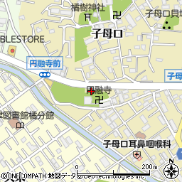 神奈川県川崎市高津区子母口30周辺の地図