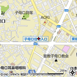 有限会社斎藤電業社周辺の地図