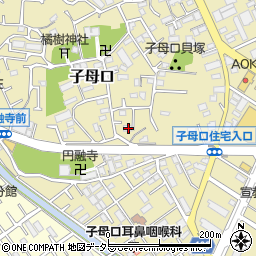 神奈川県川崎市高津区子母口37周辺の地図