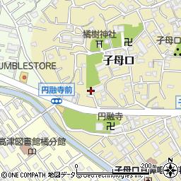 神奈川県川崎市高津区子母口74周辺の地図
