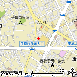 神奈川県川崎市高津区子母口272周辺の地図