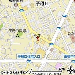 神奈川県川崎市高津区子母口279周辺の地図