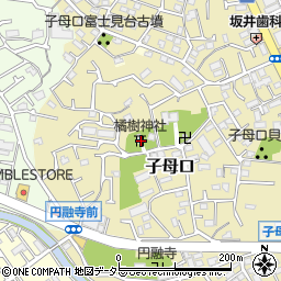 神奈川県川崎市高津区子母口122-1周辺の地図