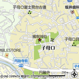 神奈川県川崎市高津区子母口122周辺の地図