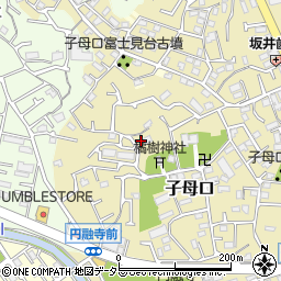 神奈川県川崎市高津区子母口117周辺の地図