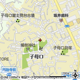 神奈川県川崎市高津区子母口128-3周辺の地図