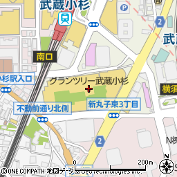 100時間カレー グランツリー武蔵小杉店周辺の地図
